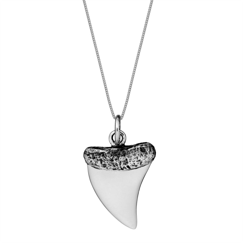 Sterling Silver Shark Tooth Pendant Necklace With Curb Chain